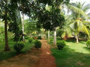 a dirt path with trees and bushes in a park at Ivory Home Stay & Self-Catering Guest House in Ja-Ela