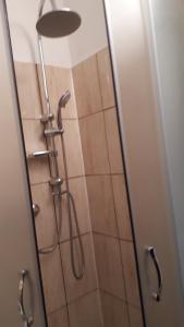 a shower with a shower head in a bathroom at Bytik 4U in Banská Štiavnica