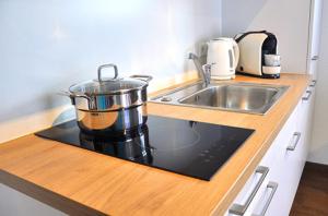 una olla en la parte superior de una estufa junto a un fregadero en rent-my-apartment, en Rietheim-Weilheim