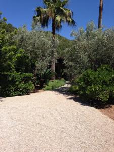 A garden outside Ses llimoneres