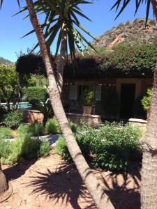 A garden outside Ses llimoneres