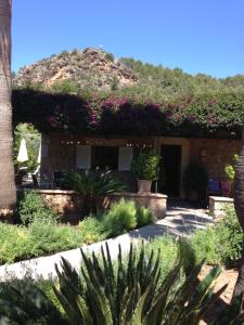 A garden outside Ses llimoneres
