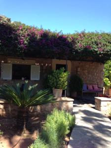A garden outside Ses llimoneres
