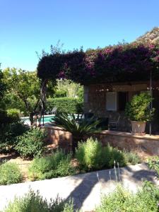A garden outside Ses llimoneres