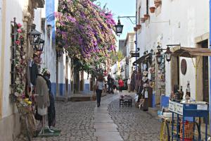 een vrouw die over een straat loopt met bloemen hangend aan gebouwen bij DaLagoa Charm Villa Pool Beach in Vau