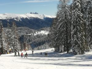 Fotografija v galeriji nastanitve Weitlaner Birgit v Sillianu