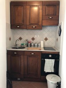 a small kitchen with wooden cabinets and a sink at Viola Borgia in Florence