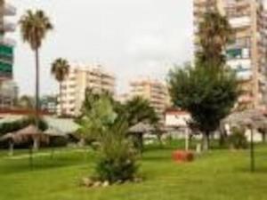 Vonkajšia záhrada v ubytovaní M1 403 Frontal al Mar Vistas Terraza y Wifi