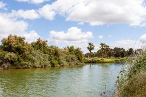 a river with trees and clouds in the sky at Bayside Salgados in Albufeira