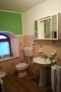 La salle de bains est pourvue de toilettes blanches et d'un lavabo. dans l'établissement La Casa di Allo, à Charvensod