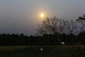 Alba o tramonto visti dall'interno dell'affittacamere o dai dintorni