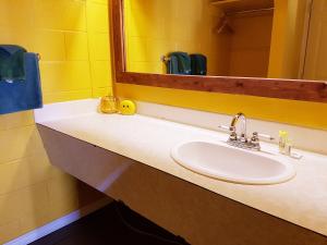 a bathroom with a sink and a mirror at Caravan Motel in Fort Saint John