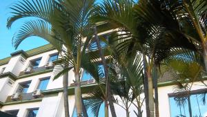 ein Gebäude mit Palmen davor in der Unterkunft Canoas Parque Hotel in Canoas
