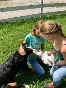 Ospiti di Traumhafte Wohnung auf Pferde Ranch con animali domestici