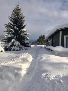 Traumhafte Wohnung auf Pferde Ranch durante l'inverno