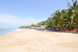 a beach with chairs and palm trees and the ocean at Verde Luna in San Francisco