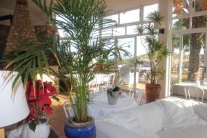 Billede fra billedgalleriet på Cortijo de la Media Luna i Mojácar