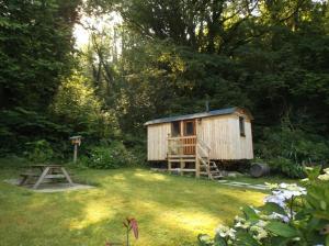 'Morris' the shepherd's hut and woodland hot tub experience外面的花园