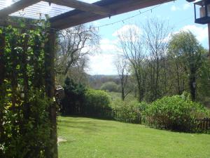 'Morris' the shepherd's hut and woodland hot tub experience外面的花园