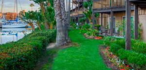 a walkway next to a building with a tree and flowers at Humphreys Half Moon Inn in San Diego