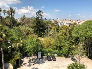 リスボンにあるBotanic Views Guest Houseのヤシの木や建物のある公園の景色