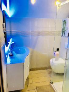 een badkamer met een wastafel en een toilet bij Chambres d'hôtes à thèmes à 2,4Km du parc in Magny-le-Hongre