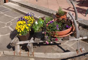 Giardino di Ferienwohnung Kirchbrücke