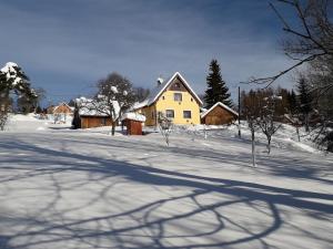 a house in the snow with its shadow on the ground at Holiday Home Benecko 101 in Benecko