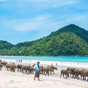 Gallery image of The Pondok in Kuta Lombok