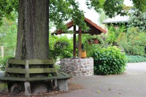 a park bench next to a tree with a bird feeder at Ferienwohnung Helbig in Tätzschwitz