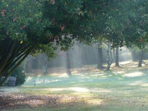 Imagen de la galería de Domaine du Champ Fleuri, en Angulema