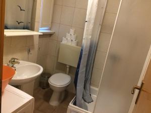 Kúpeľňa v ubytovaní Apartman Lucic C