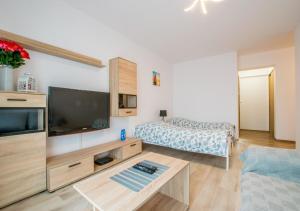 a living room with a large flat screen tv at Central Apartments Goleniow in Goleniów