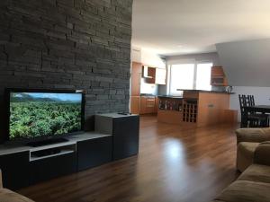 a living room with a large flat screen tv at Spacious Apartment in Town Centre in Nové Zámky