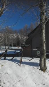 Ein Baum im Schnee neben einem Gebäude in der Unterkunft B&B Bucaneve in Abetone