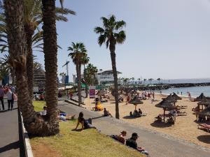 un grupo de personas sentadas en una playa con palmeras en Torres Los Cristianos, en Arona