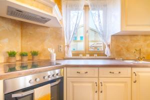 Kuchyň nebo kuchyňský kout v ubytování Luxury Villa Tia