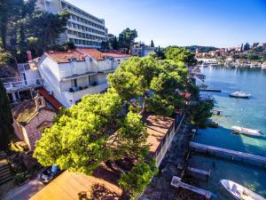 an aerial view of a river with trees and a building at Apartments Boras 2 in Cavtat