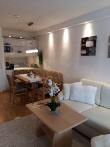 Posezení v ubytování Apartmenthotel Hohegeiß Kasing MIT FREIEM WLAN und Schwimmbad