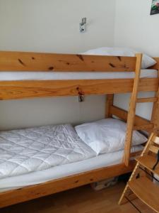 two bunk beds in a room with a ladder at Apartmenthotel Hohegeiß Kasing MIT FREIEM WLAN und Schwimmbad in Hohegeiß