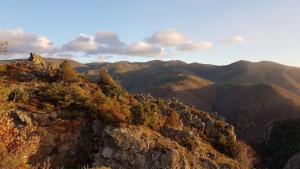 Imagen de la galería de La Fougeraie Dourbies, en Dourbies