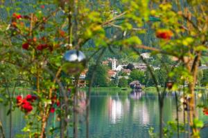 Fotografie z fotogalerie ubytování Gästehaus Struggl v destinaci Steindorf am Ossiacher See