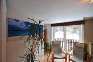 een kamer met 2 stoelen, een plant en een raam bij Ferienhaus Hinterzarten in Hinterzarten