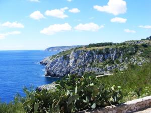Táj Show holiday homes közelében