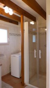 ein Badezimmer mit einer Dusche, einem WC und einer Glastür in der Unterkunft l'Ecrin au coeur des vignes in Saint-Georges-sur-Cher