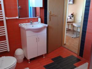 ein Badezimmer mit Waschbecken und Toilette in der Unterkunft Rooms Sapina in Korenica