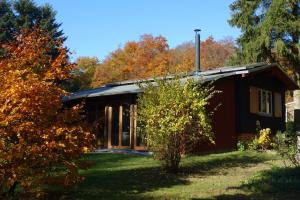 una cabaña en el bosque con follaje de otoño en Waldhaus Allrode, en Allrode