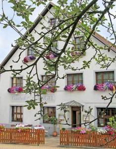 Gallery image of Hotel Restaurant Engel in Pfaffenweiler