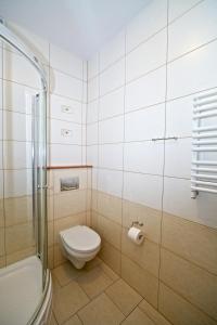 a bathroom with a toilet and a shower at Apartments ADMIRAL NELSON in Hel
