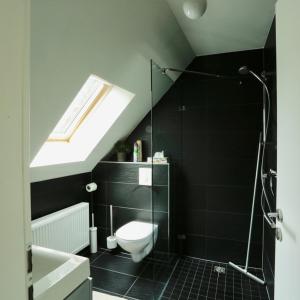 ein Bad mit einer Dusche, einem WC und einem Fenster in der Unterkunft Het Groene Huis in Monschau